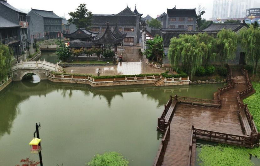 逃离蜥蜴森林